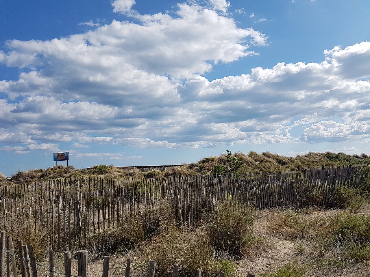 Les dunes et les ganivelles de la plage de Carnon