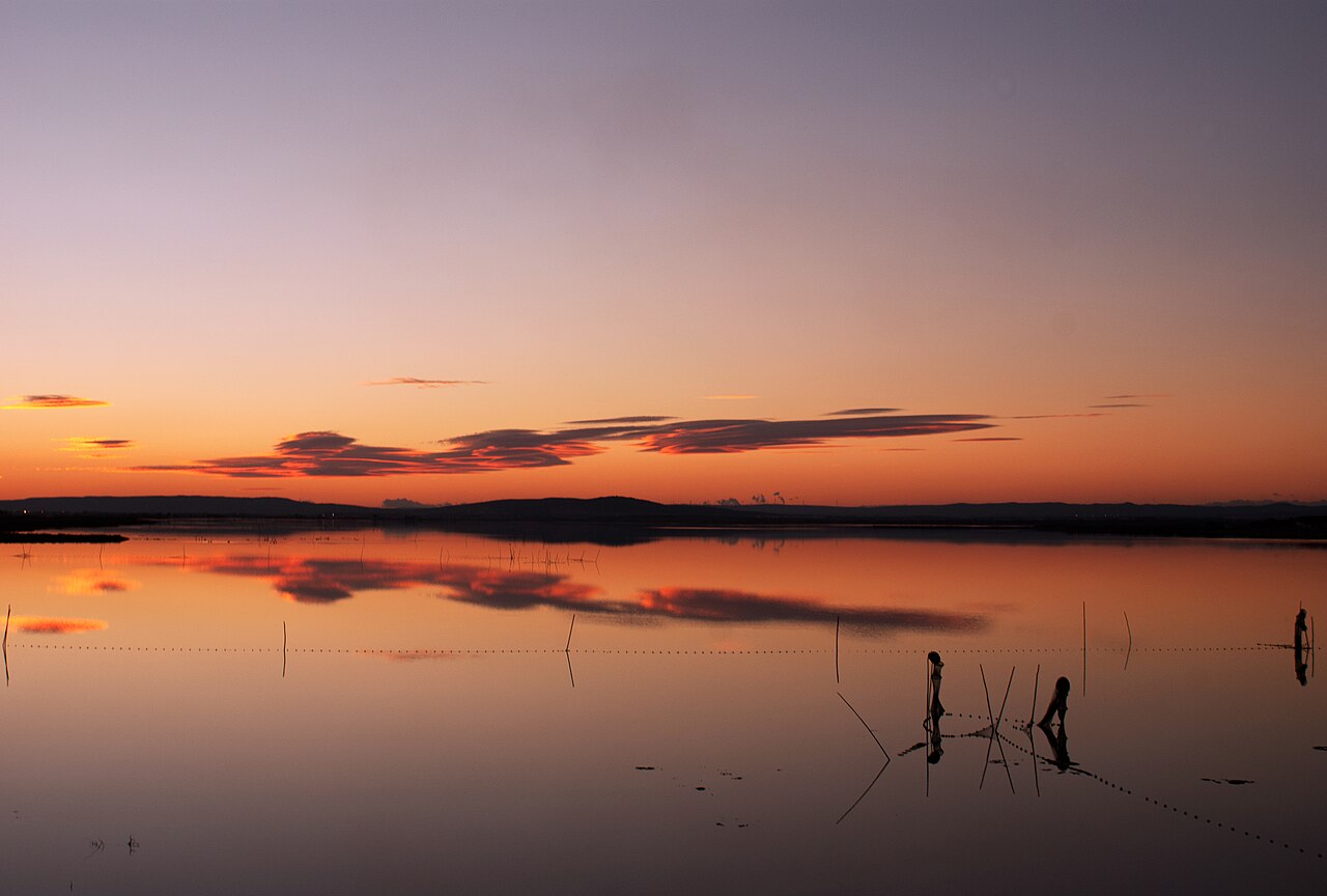 Les étangs entre Montpellier et la mer, au coucher du soleil