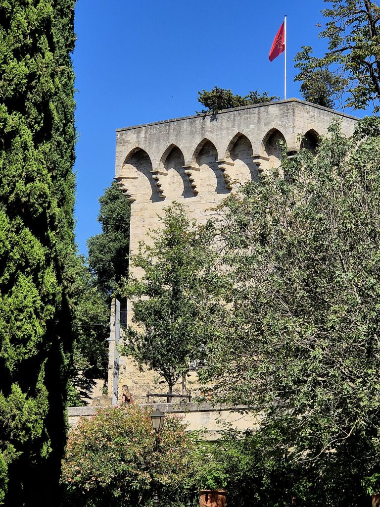 La tour des Pins vue depuis les allées du Jardin des plantes de Montpellier