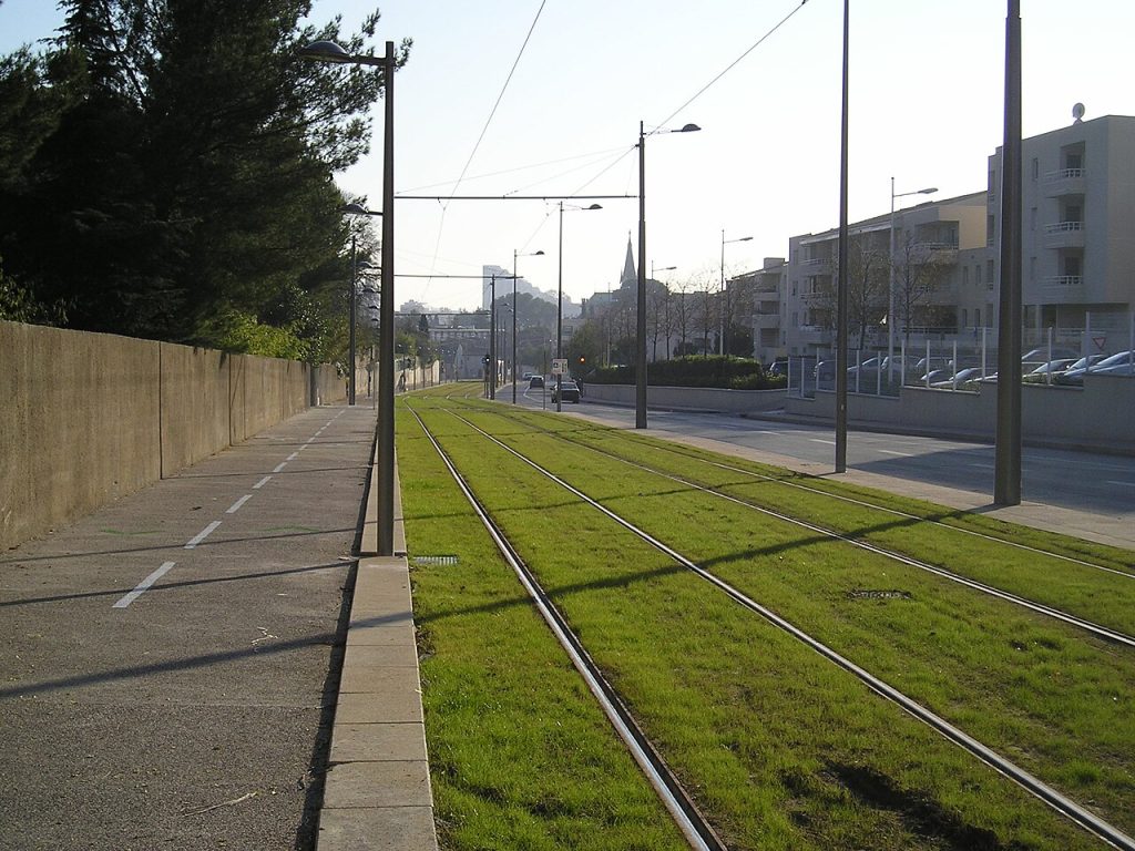 Les voies engazonnées de la ligne 2 du tramway dans la rue de Montasinos, bordée de pins et de résidences