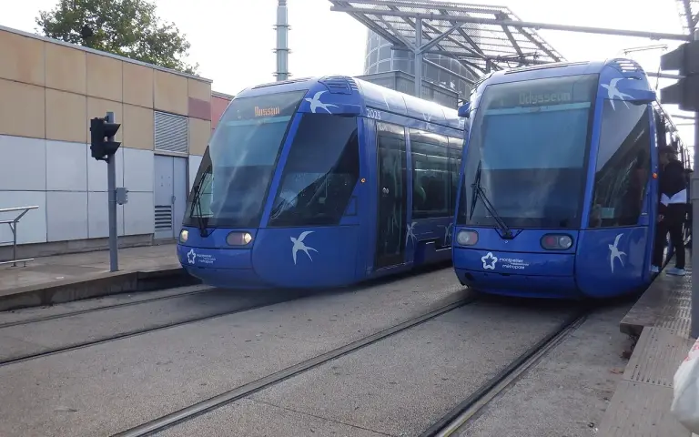 Tram et bus à Montpellier : la gratuité, le Pass, les titres — le mode d’emploi