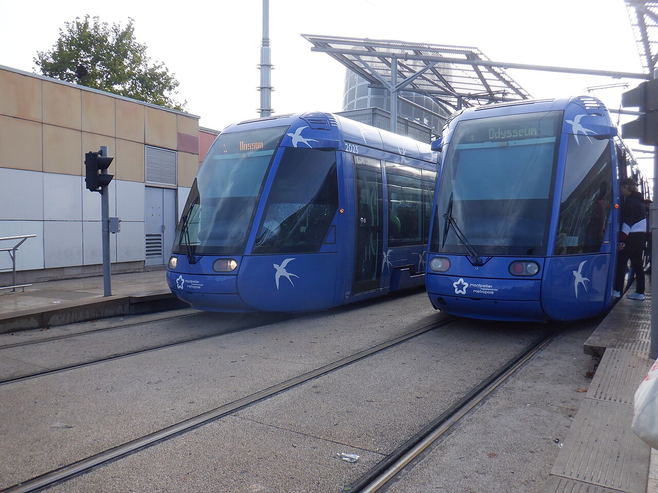 Tram et bus à Montpellier : la gratuité, le Pass, les titres — le mode d’emploi