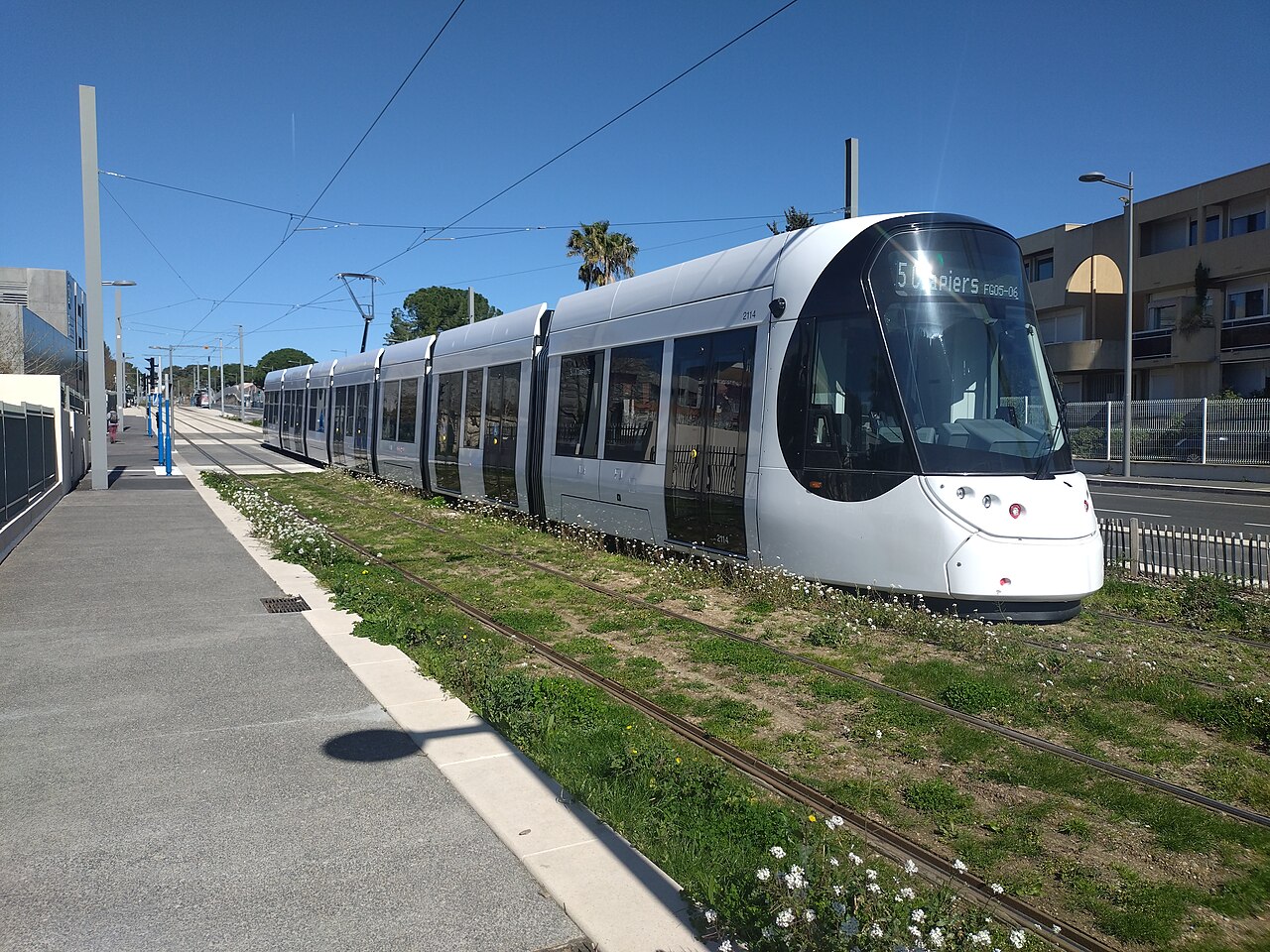 Une rame blanche de la ligne 5 du tramway de Montpellier à quai, en direction de Clapiers
