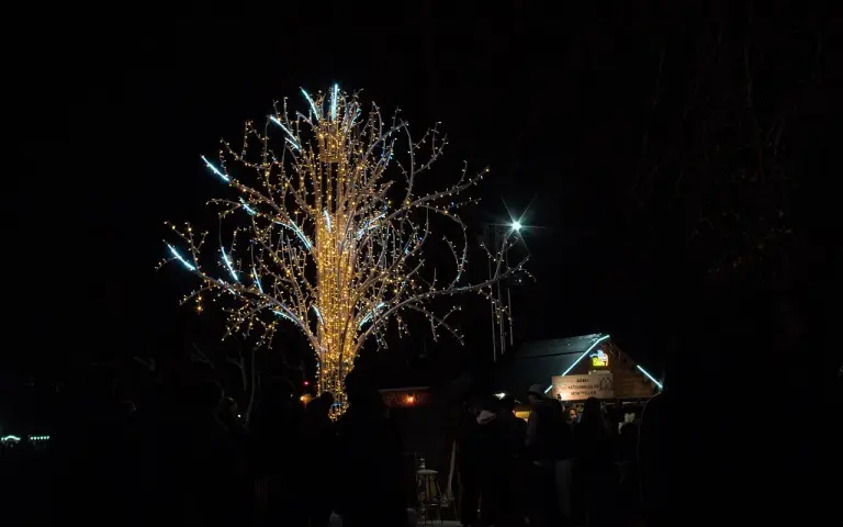 Le marché de Noël de Montpellier : dates 2026, lieu, accès et rendez-vous des fêtes